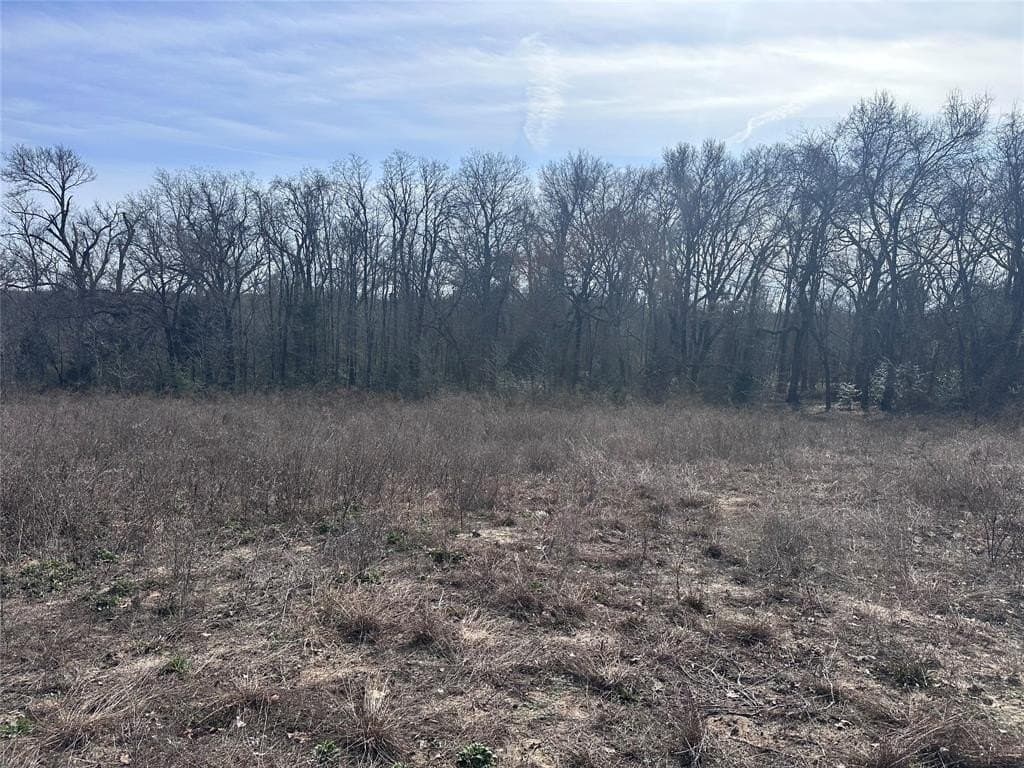 21.5 acres in Henderson County - photo 5