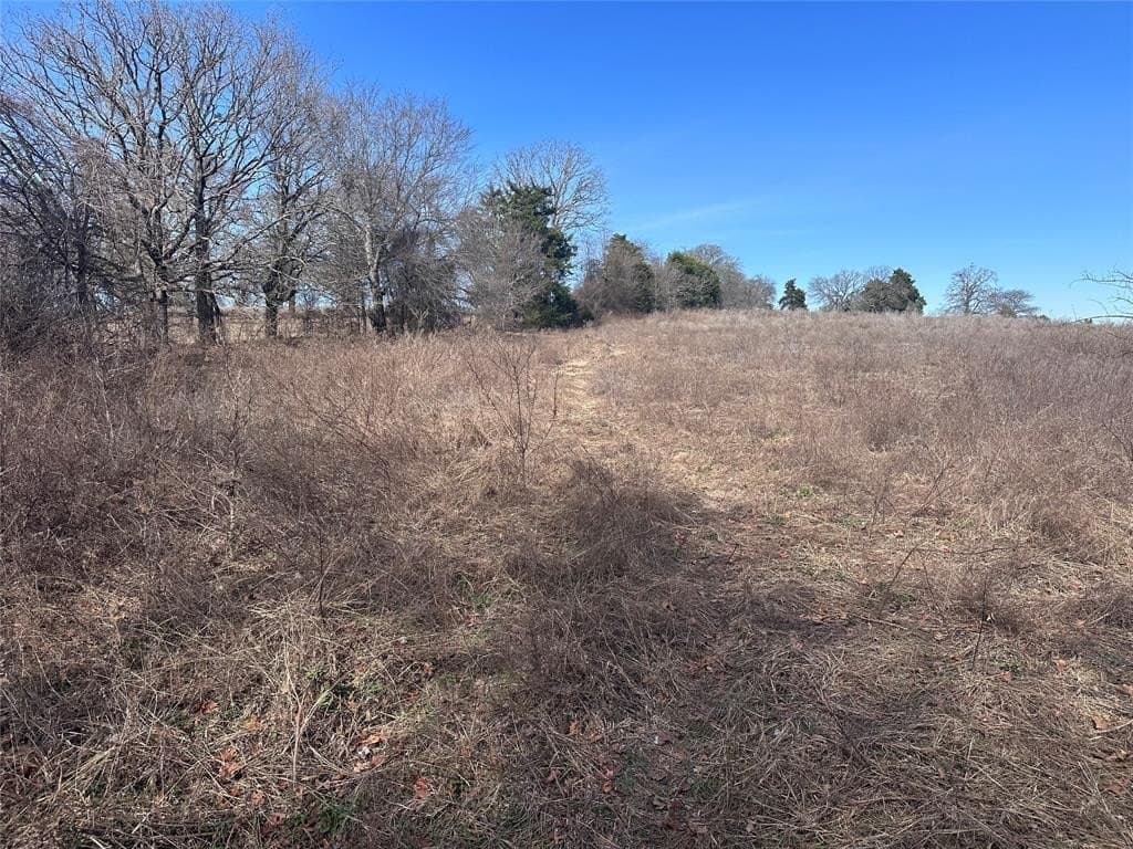 21.5 acres in Henderson County - photo 7