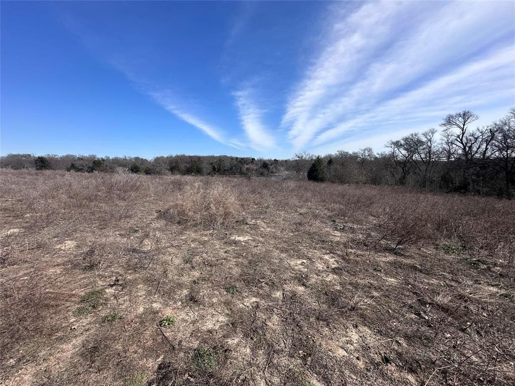 21.5 acres in Henderson County - photo 3