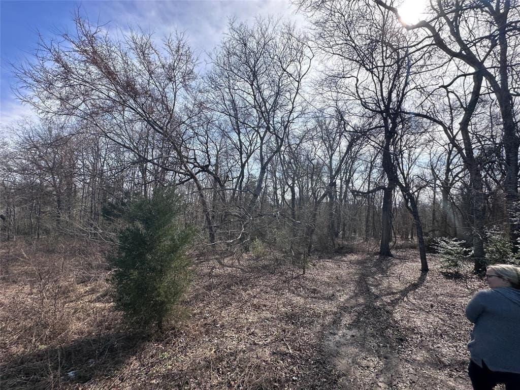 21.5 acres in Henderson County - photo 9