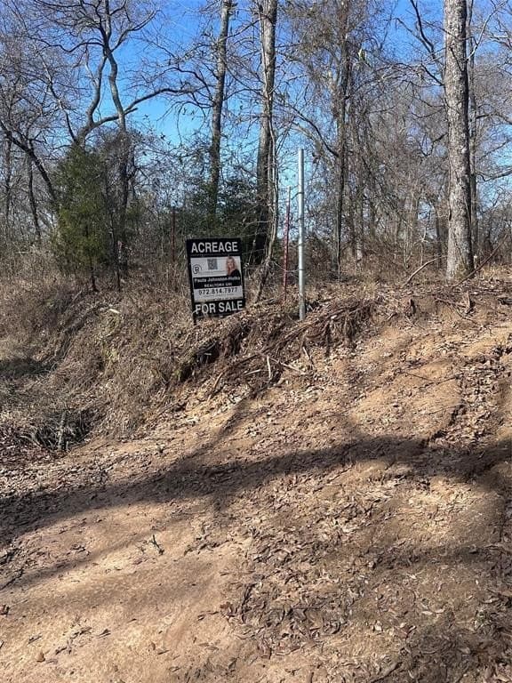 21.5 acres in Henderson County - photo 10