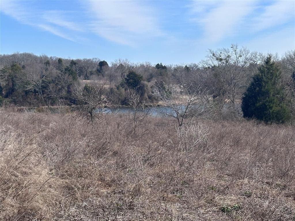 21.5 acres in Henderson County - photo 4