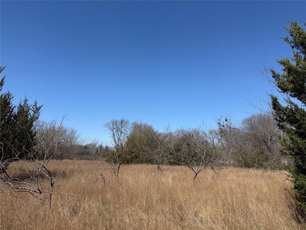 0.99 acres in Navarro County - photo 29