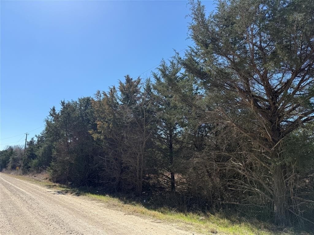 0.99 acres in Navarro County - photo 22
