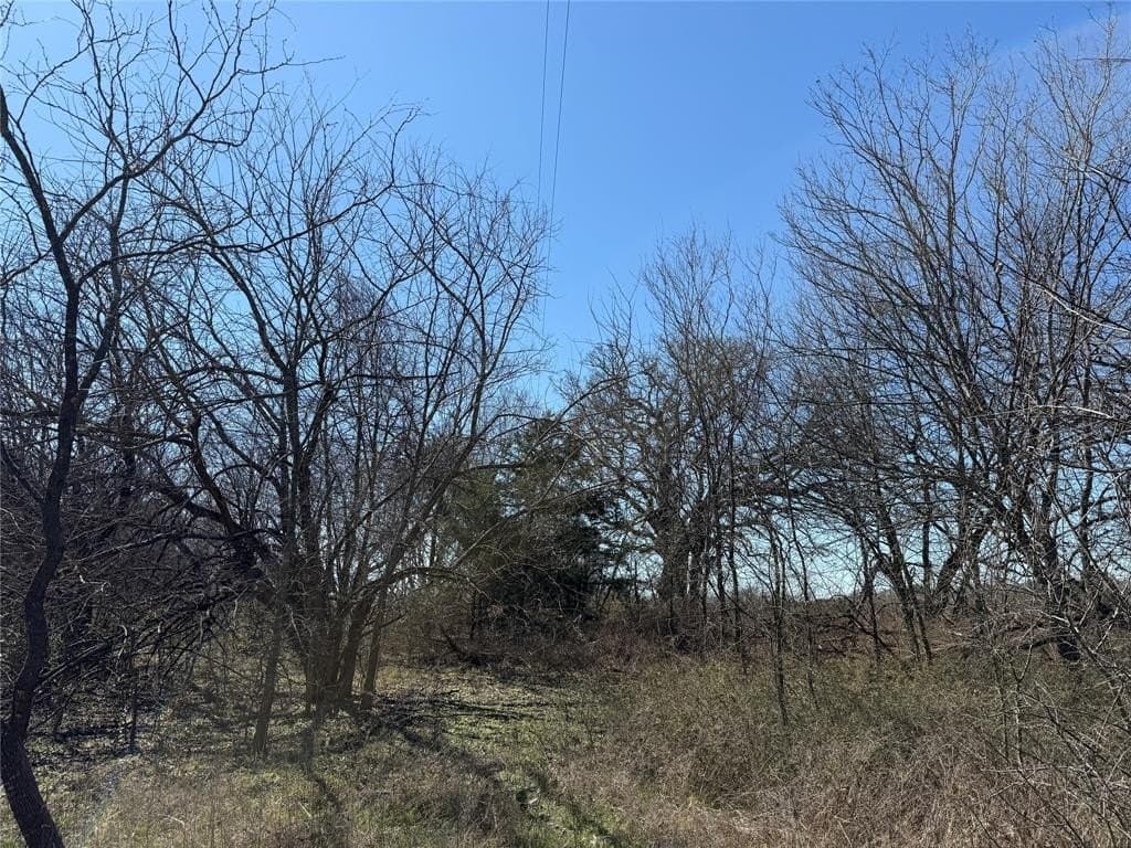 0.99 acres in Navarro County - photo 15