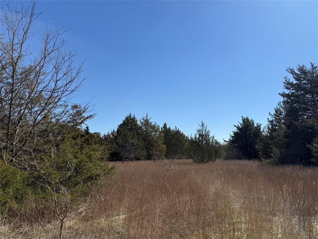 0.99 acres in Navarro County - photo 24
