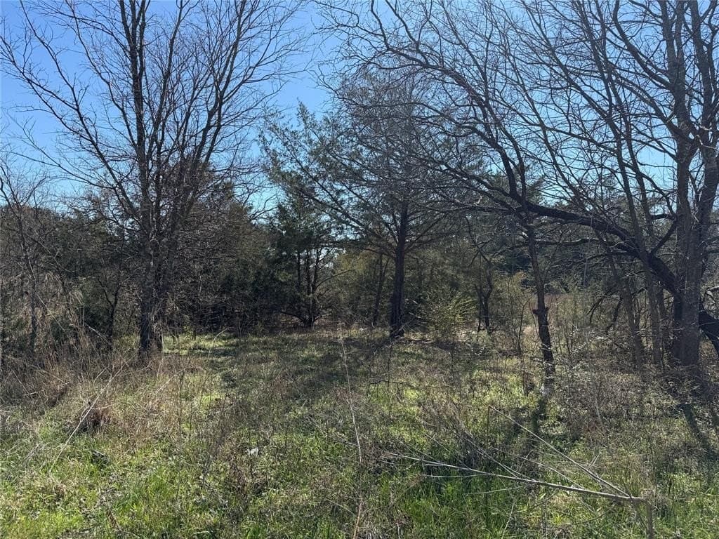 0.99 acres in Navarro County - photo 12