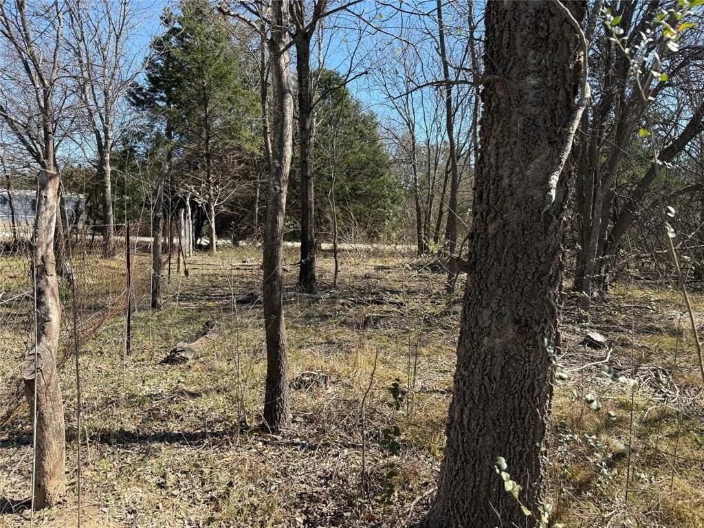 0.99 acres in Navarro County - photo 8