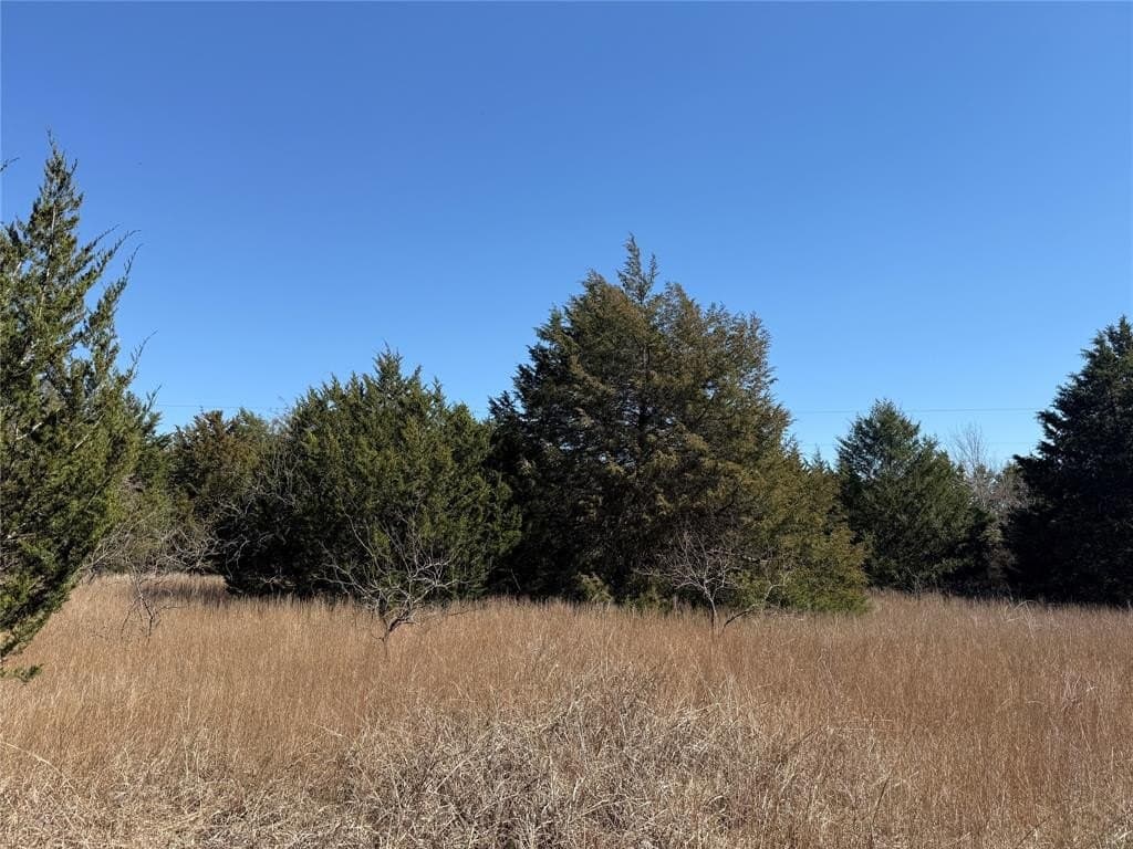 0.99 acres in Navarro County - photo 32