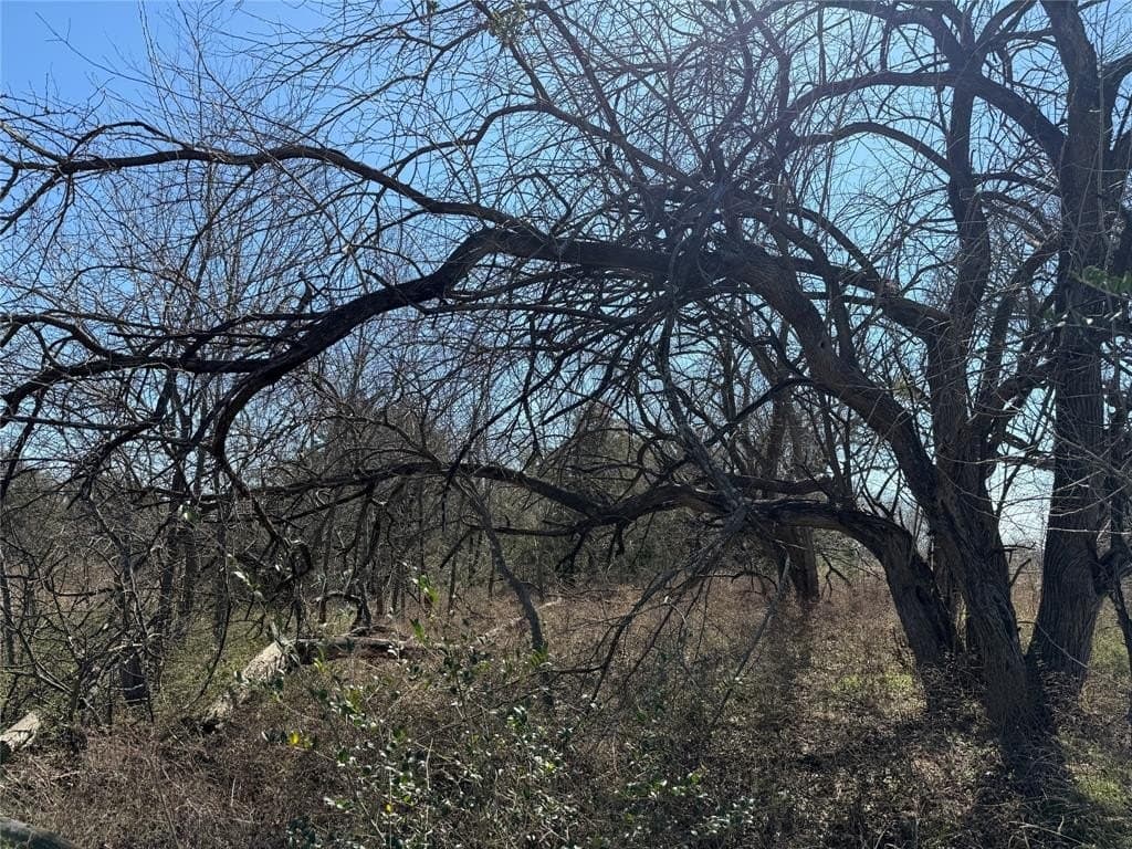 0.99 acres in Navarro County - photo 14