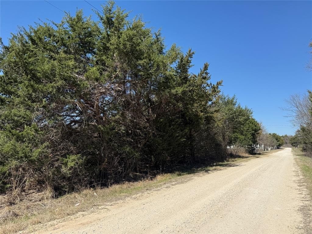 0.99 acres in Navarro County - photo 3