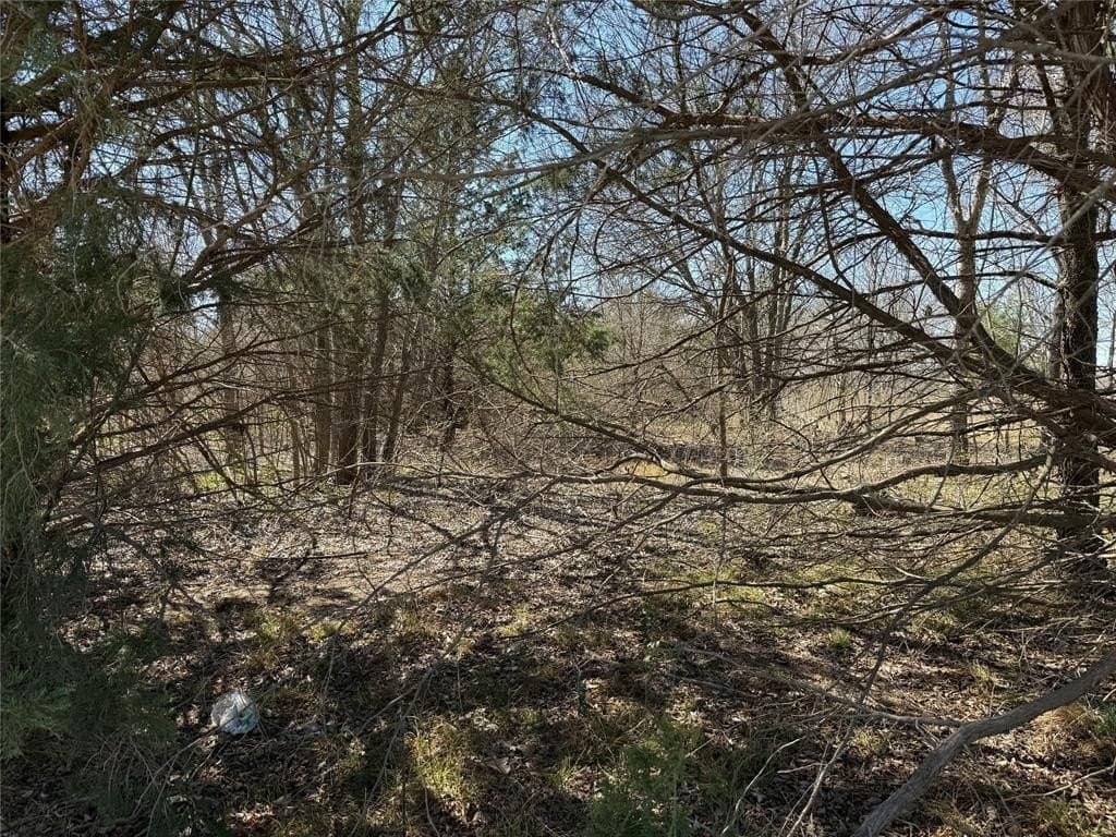 0.99 acres in Navarro County - photo 23