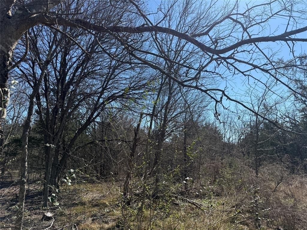 0.99 acres in Navarro County - photo 9