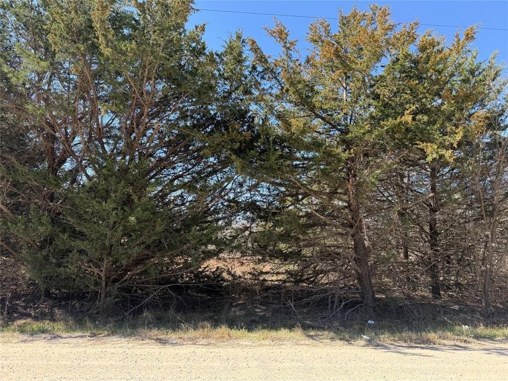 0.99 acres in Navarro County - photo 4