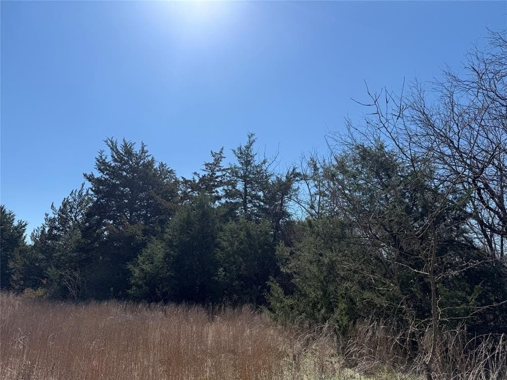 0.99 acres in Navarro County - photo 17