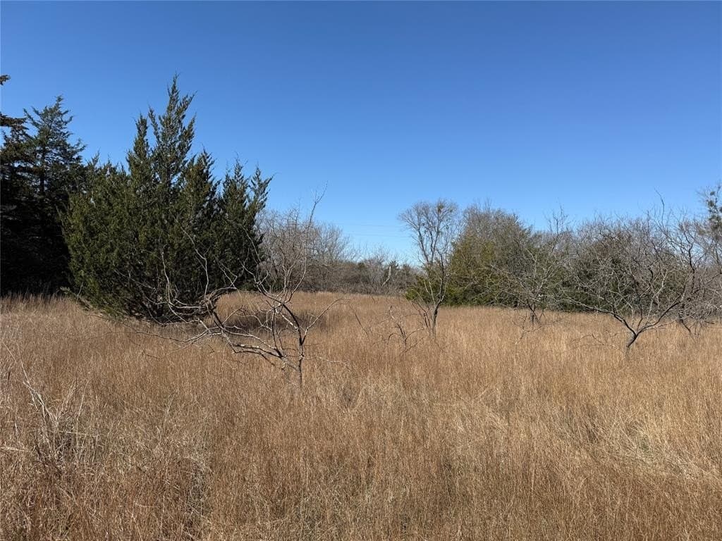 0.99 acres in Navarro County - photo 19