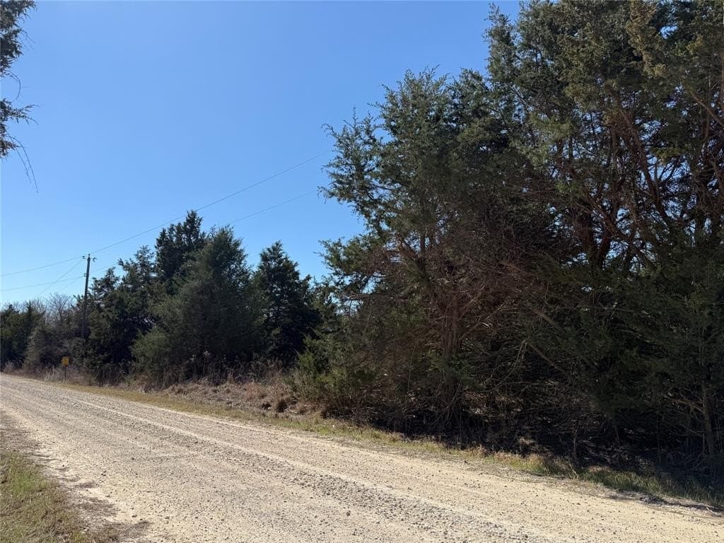 0.99 acres in Navarro County - photo 20