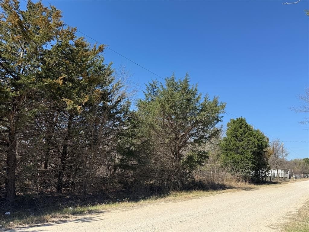 0.99 acres in Navarro County - photo 5