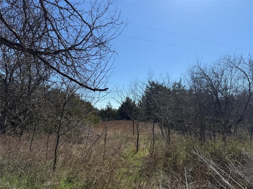 0.99 acres in Navarro County - photo 13