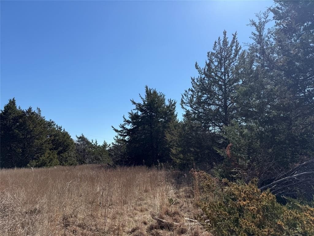 0.99 acres in Navarro County - photo 27
