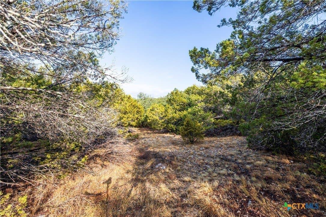 0.59 acres in Travis County - photo 5