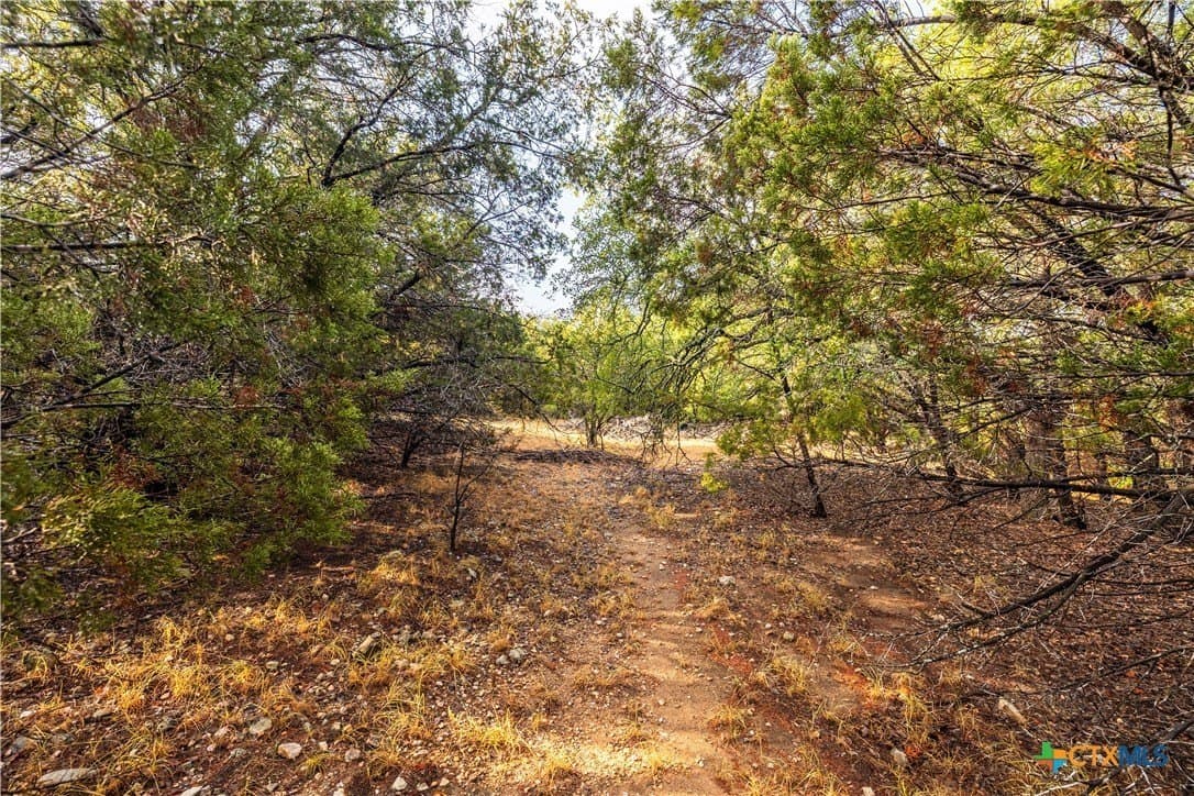 0.59 acres in Travis County - photo 4