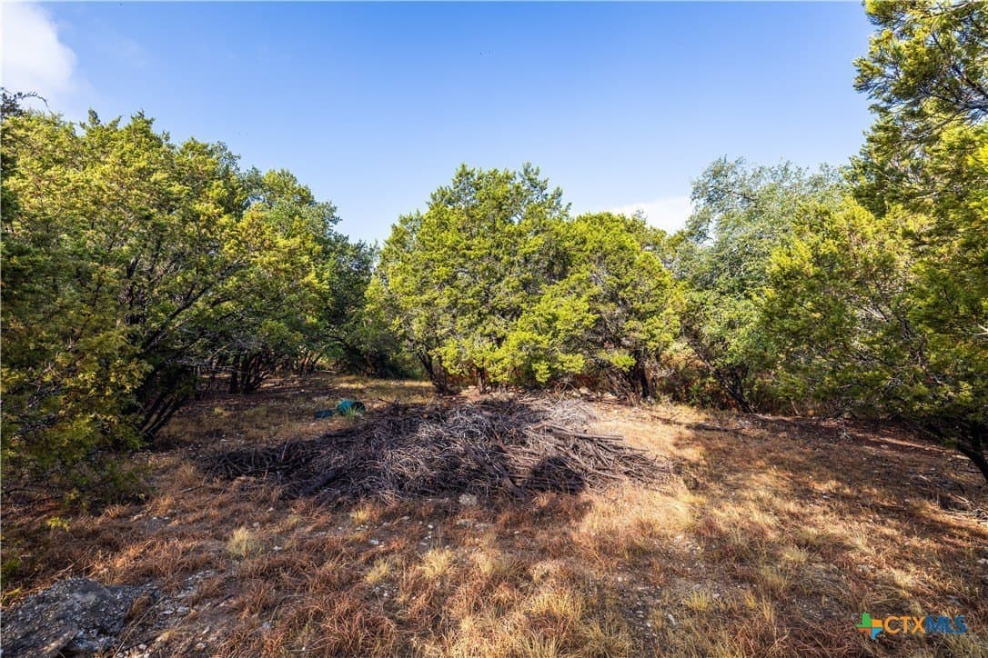 0.59 acres in Travis County - photo 6
