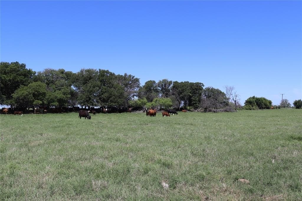 80 acres in Clay County - photo 2