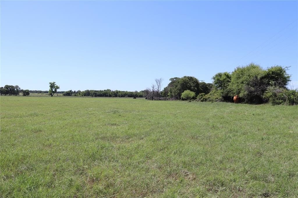 80 acres in Clay County - photo 5