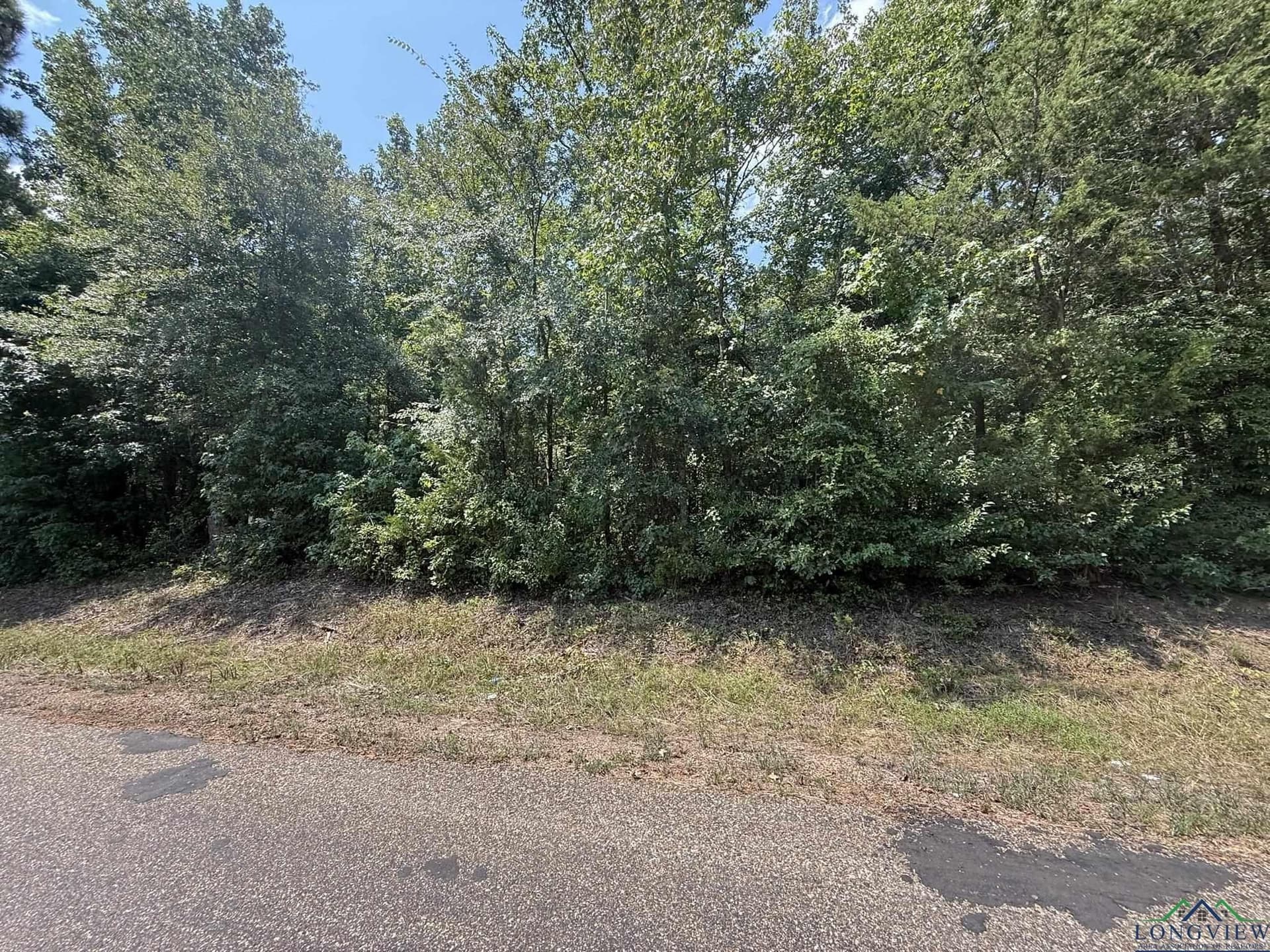 5 acres in Texas County - photo 13