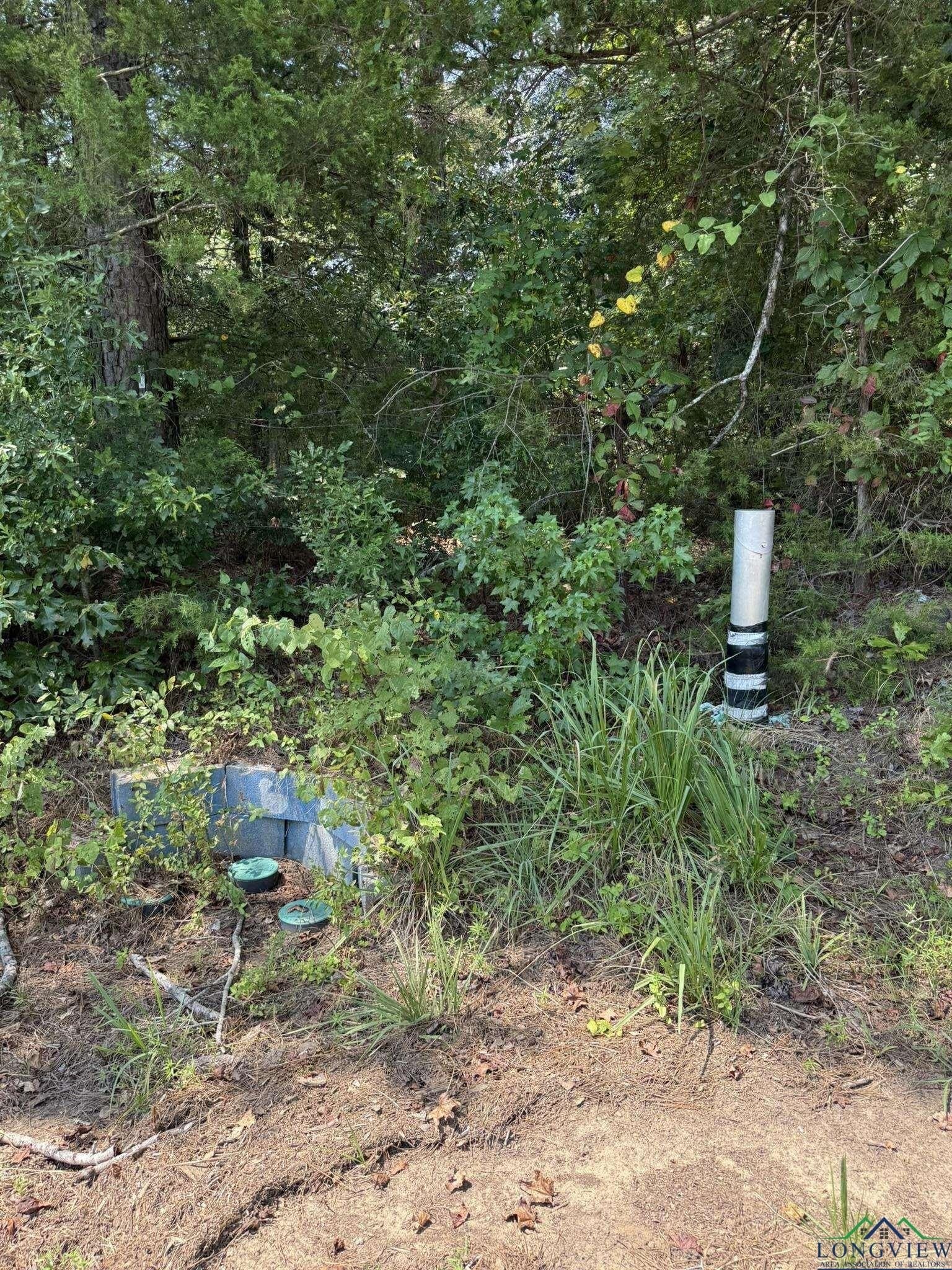 5 acres in Texas County - photo 20