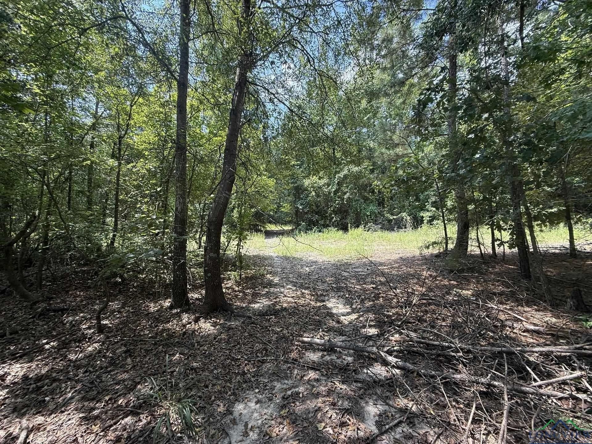 5 acres in Texas County - photo 5