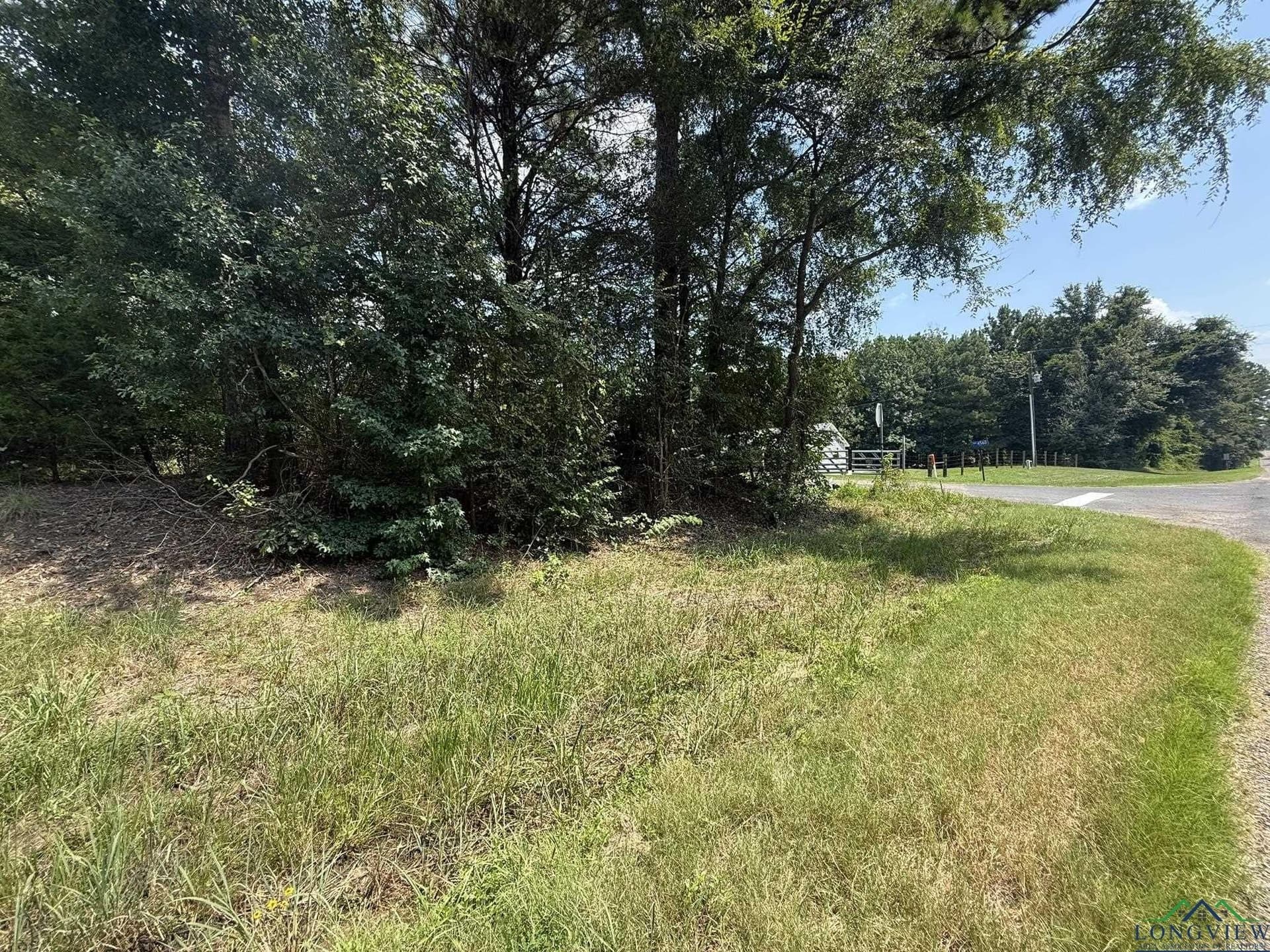5 acres in Texas County - photo 2