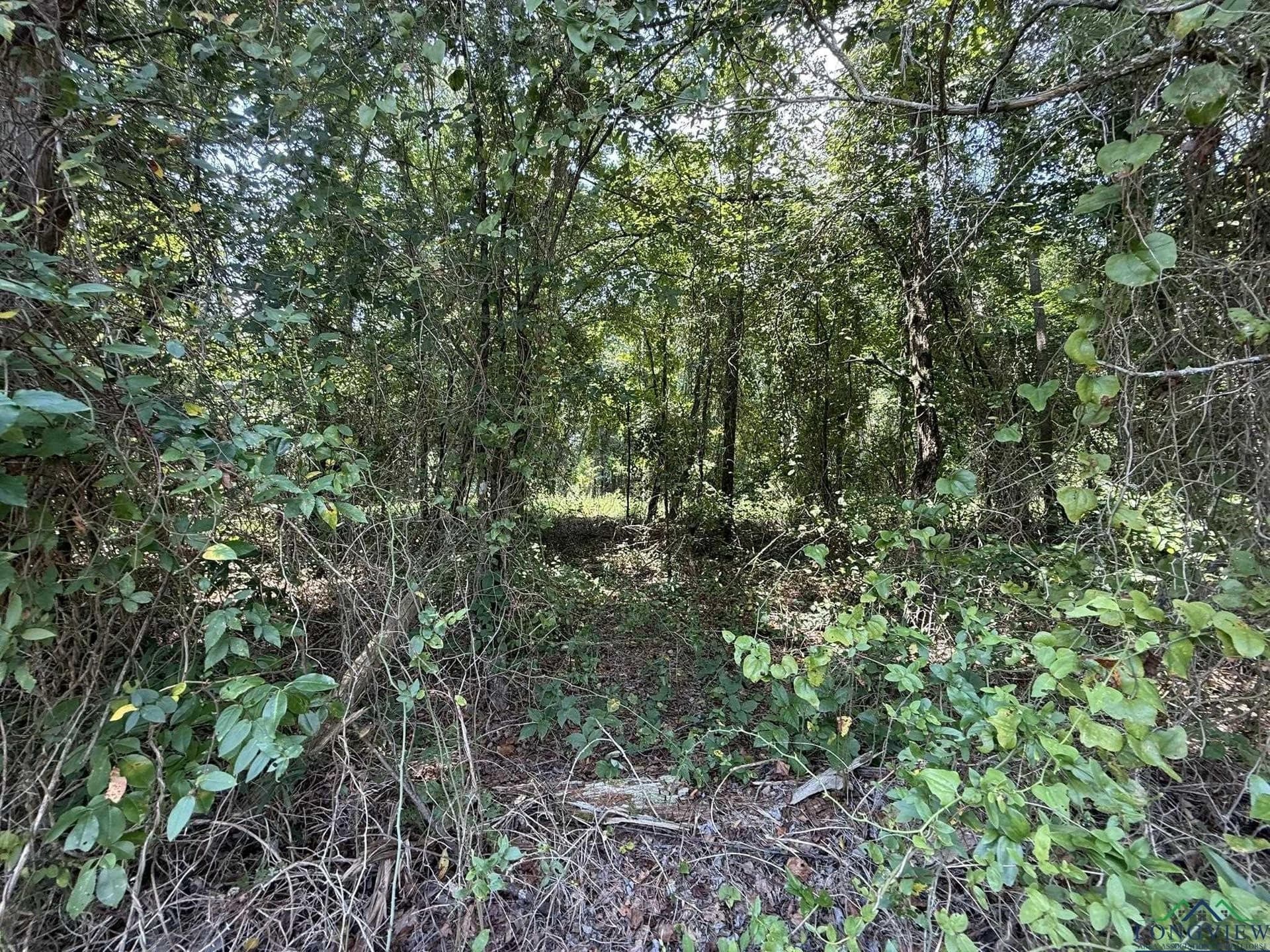 5 acres in Texas County - photo 19