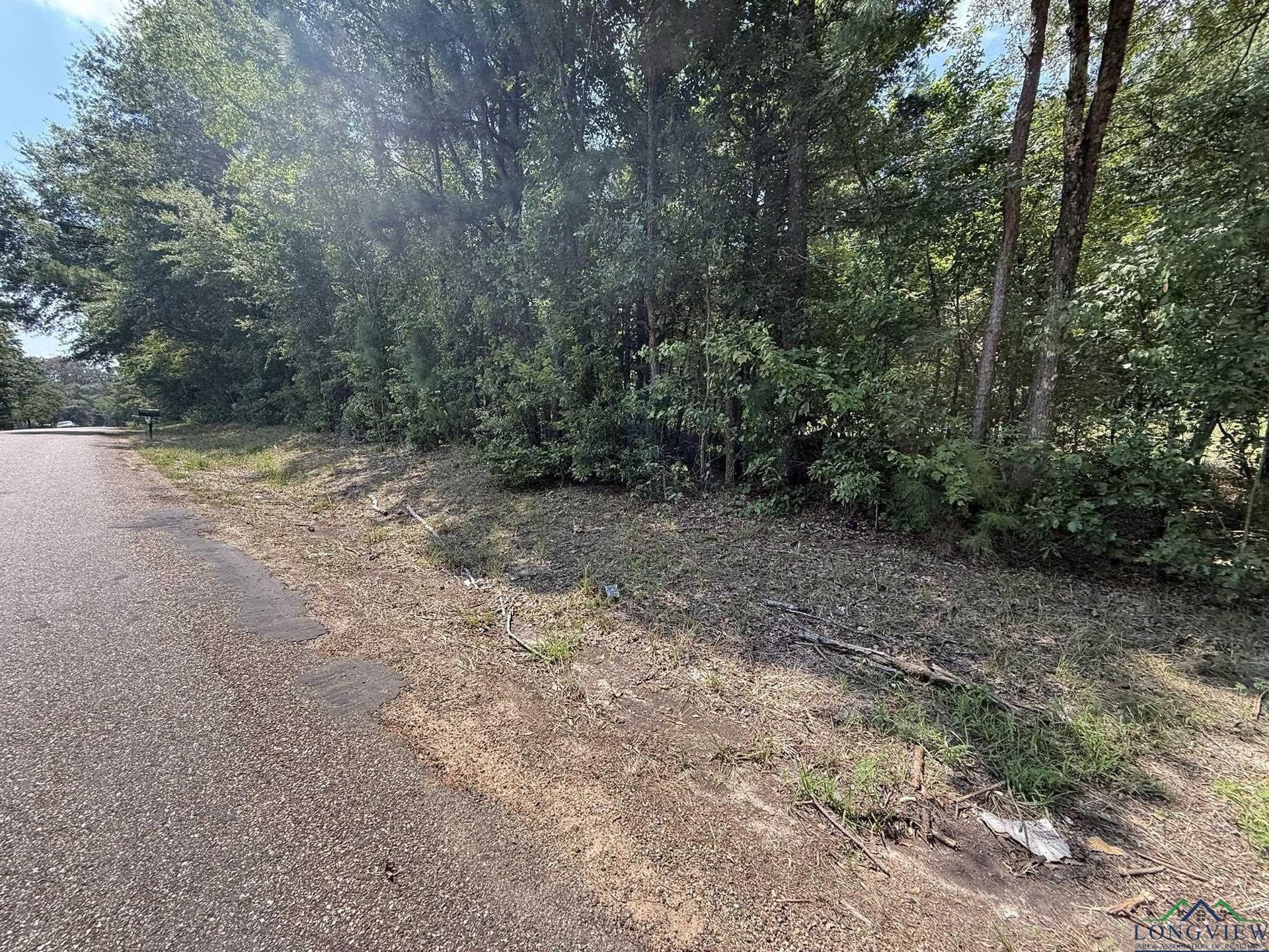 5 acres in Texas County - photo 9