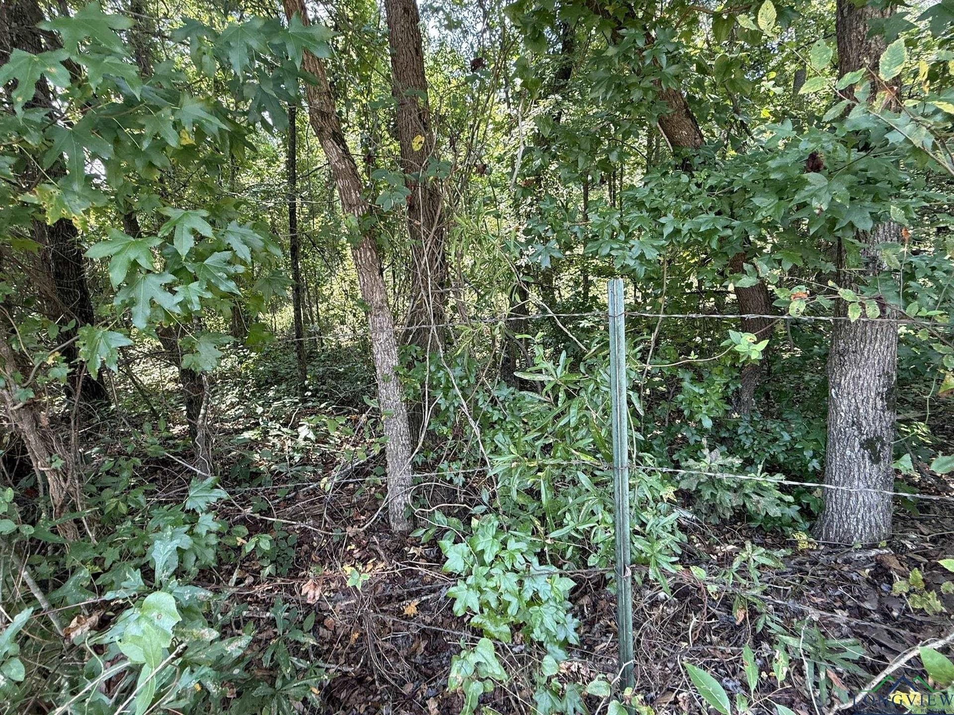 5 acres in Texas County - photo 15