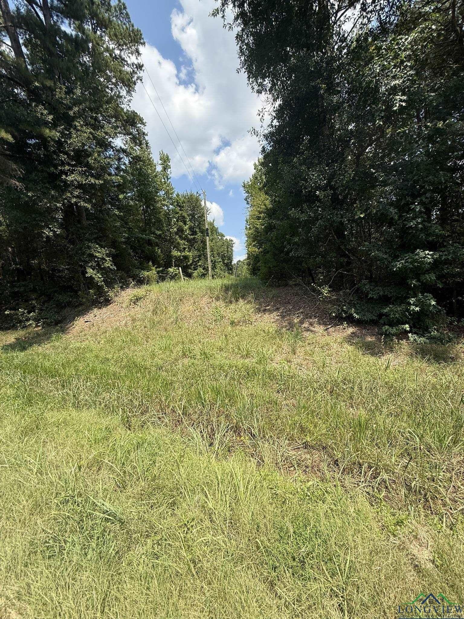 5 acres in Texas County - photo 23