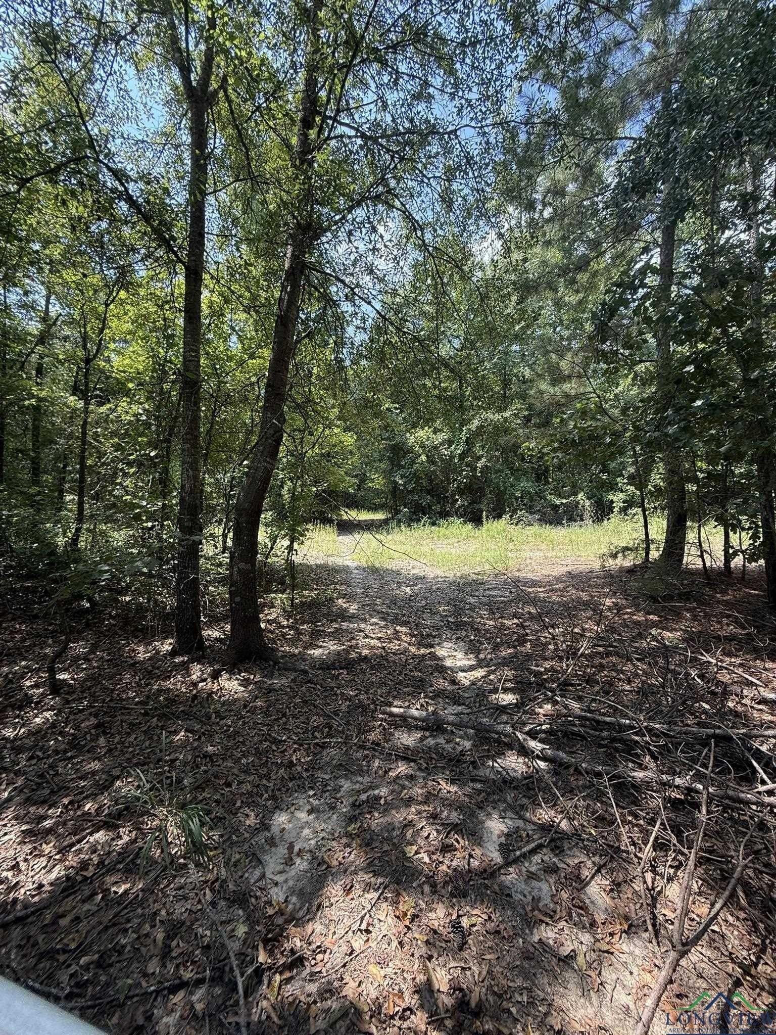 5 acres in Texas County - photo 7