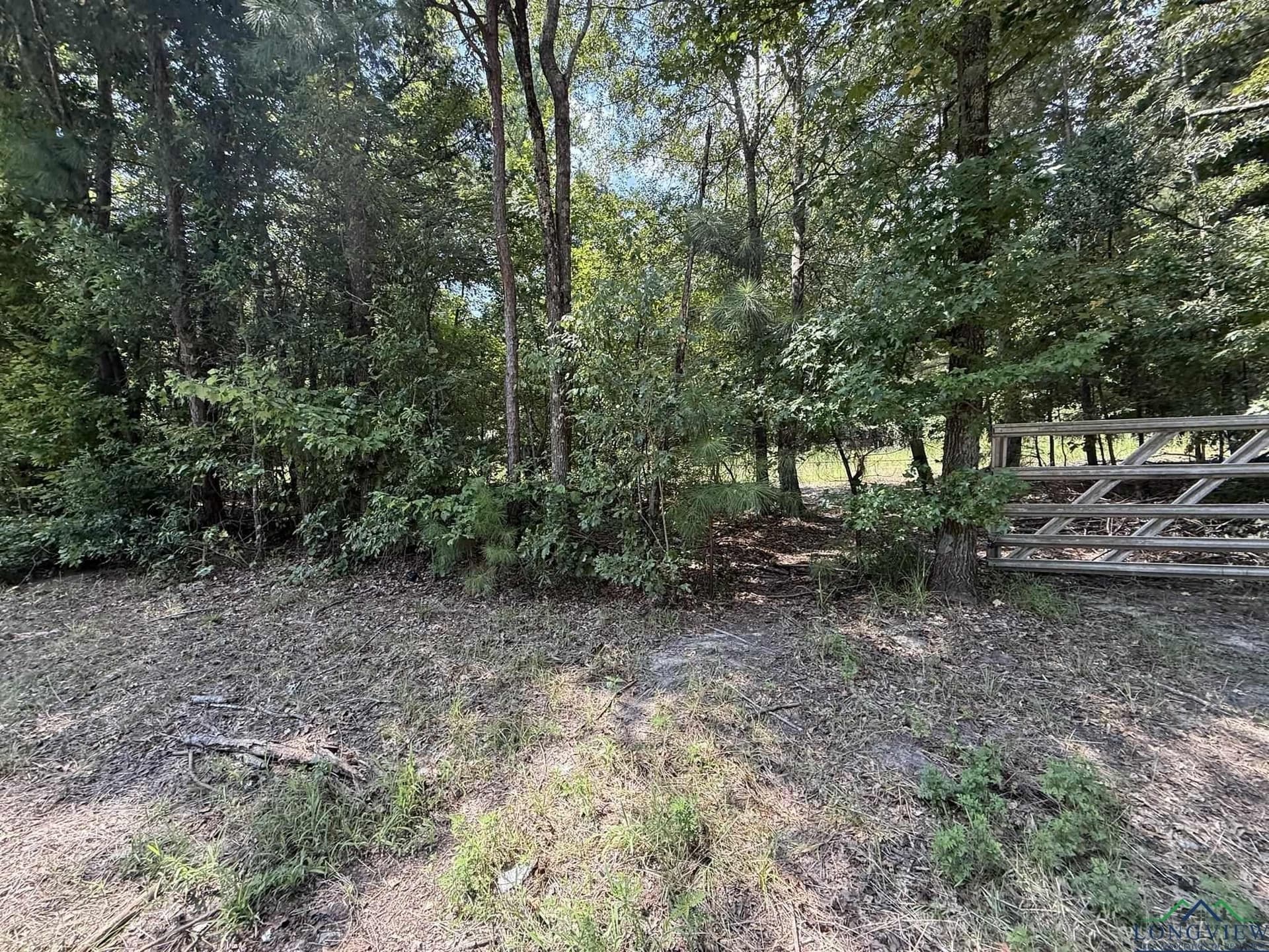 5 acres in Texas County - photo 4