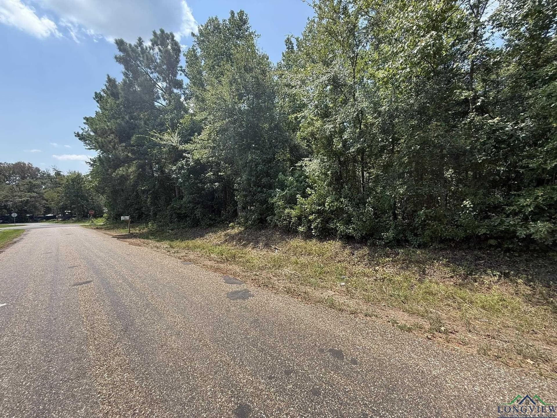 5 acres in Texas County - photo 14