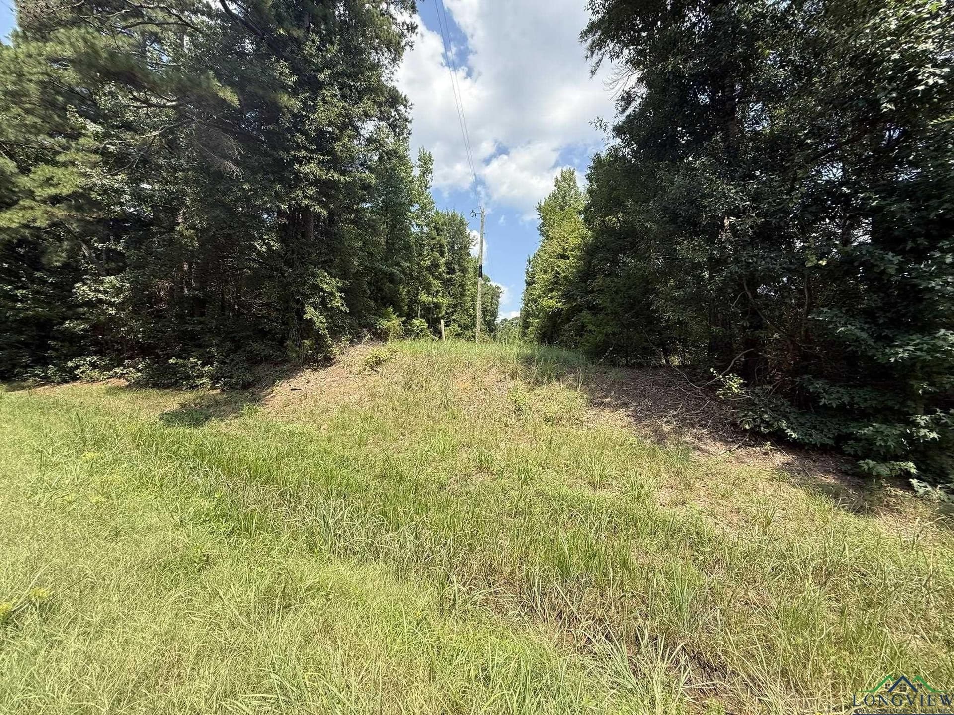 5 acres in Texas County - photo 25
