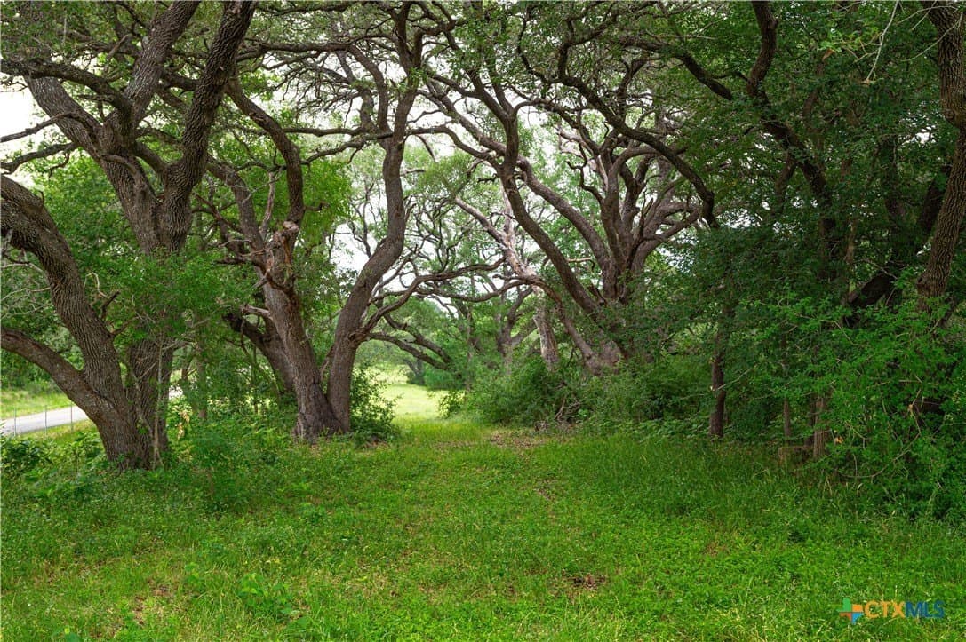 51.75 acres in Guadalupe County - photo 6