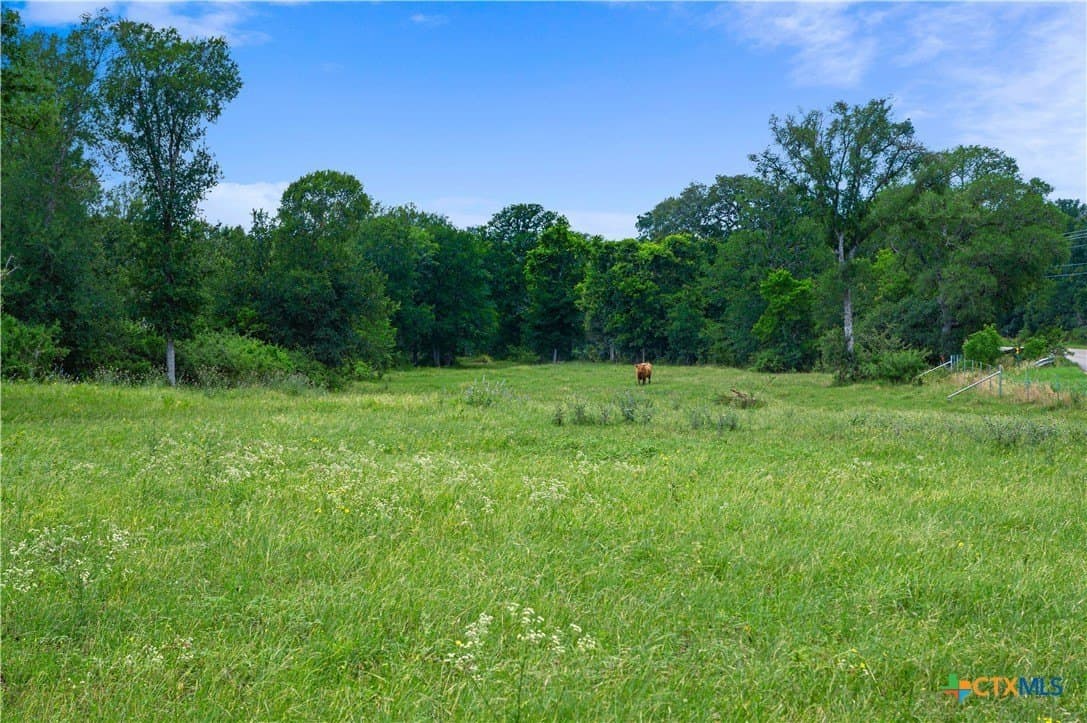 51.75 acres in Guadalupe County - photo 5