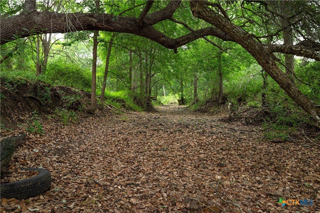 51.75 acres in Guadalupe County - photo 3