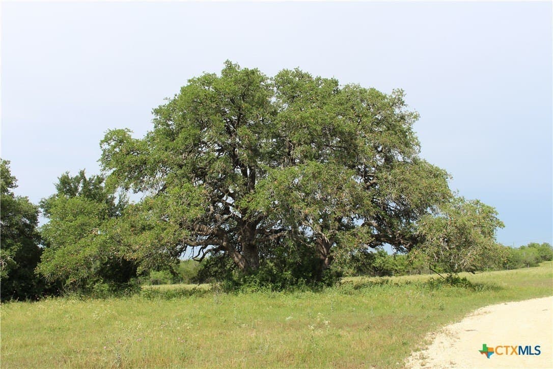 51.75 acres in Guadalupe County - photo 18