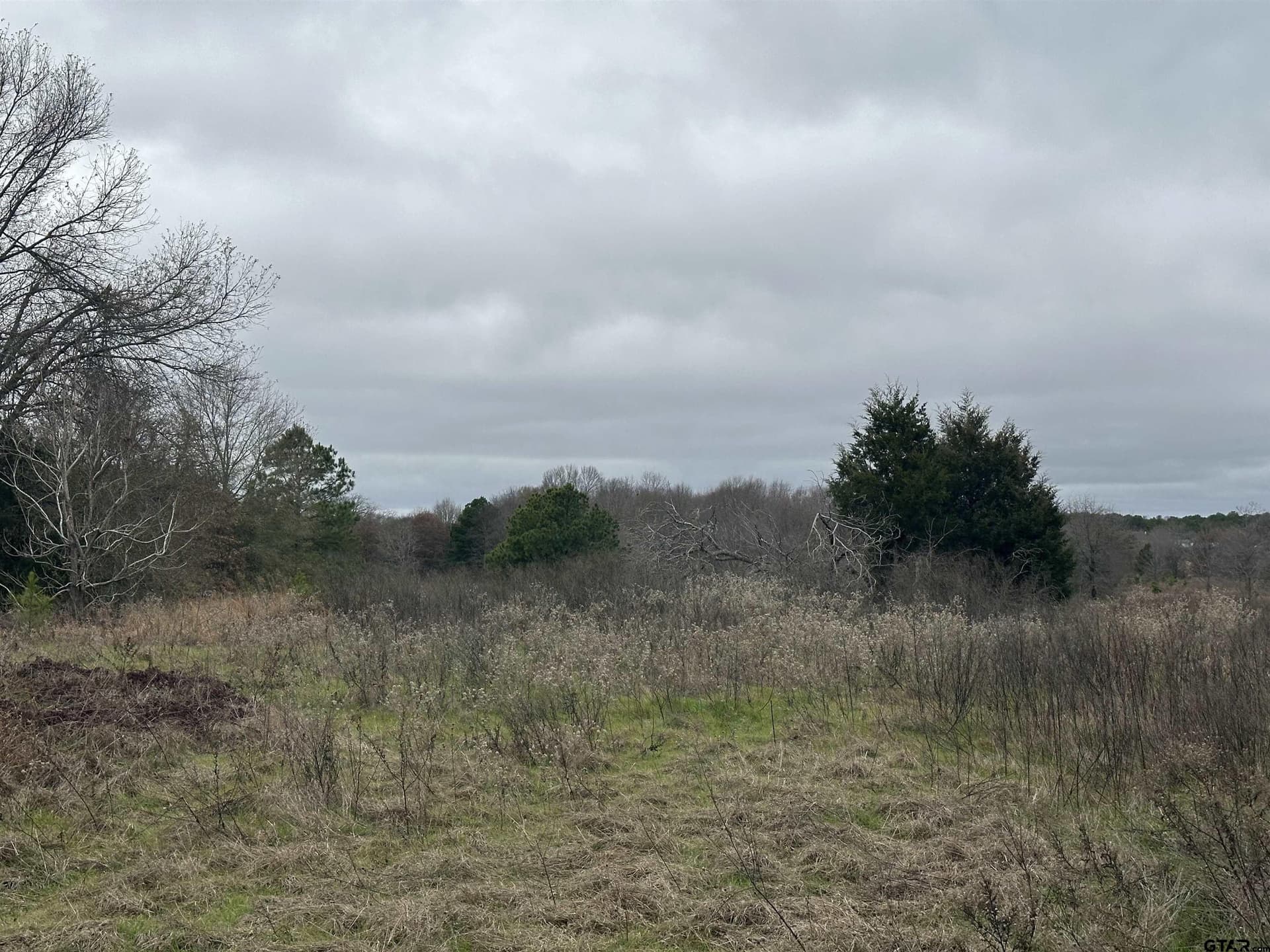 19.95 acres in Smith County - photo 9