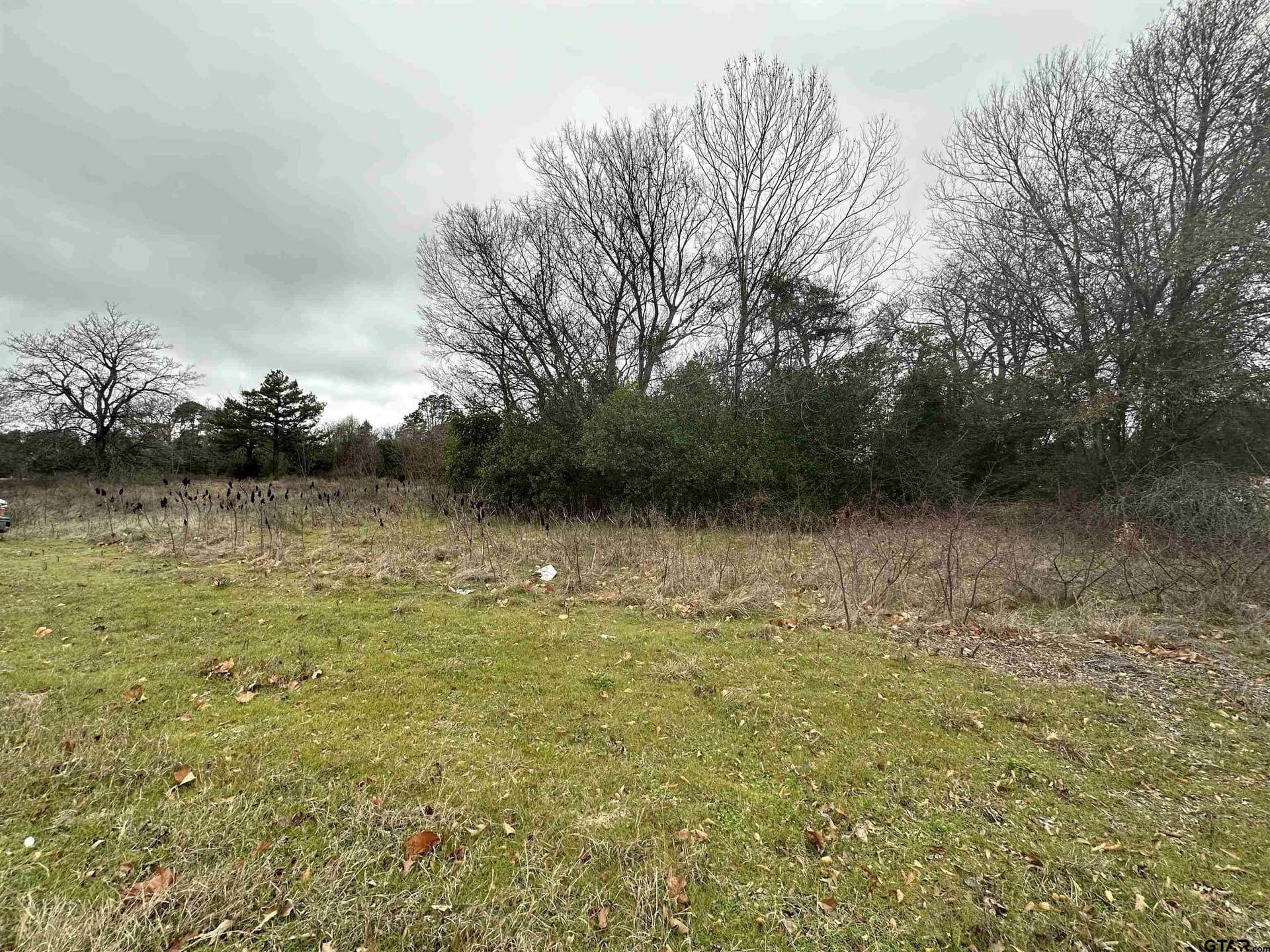 19.95 acres in Smith County - photo 4