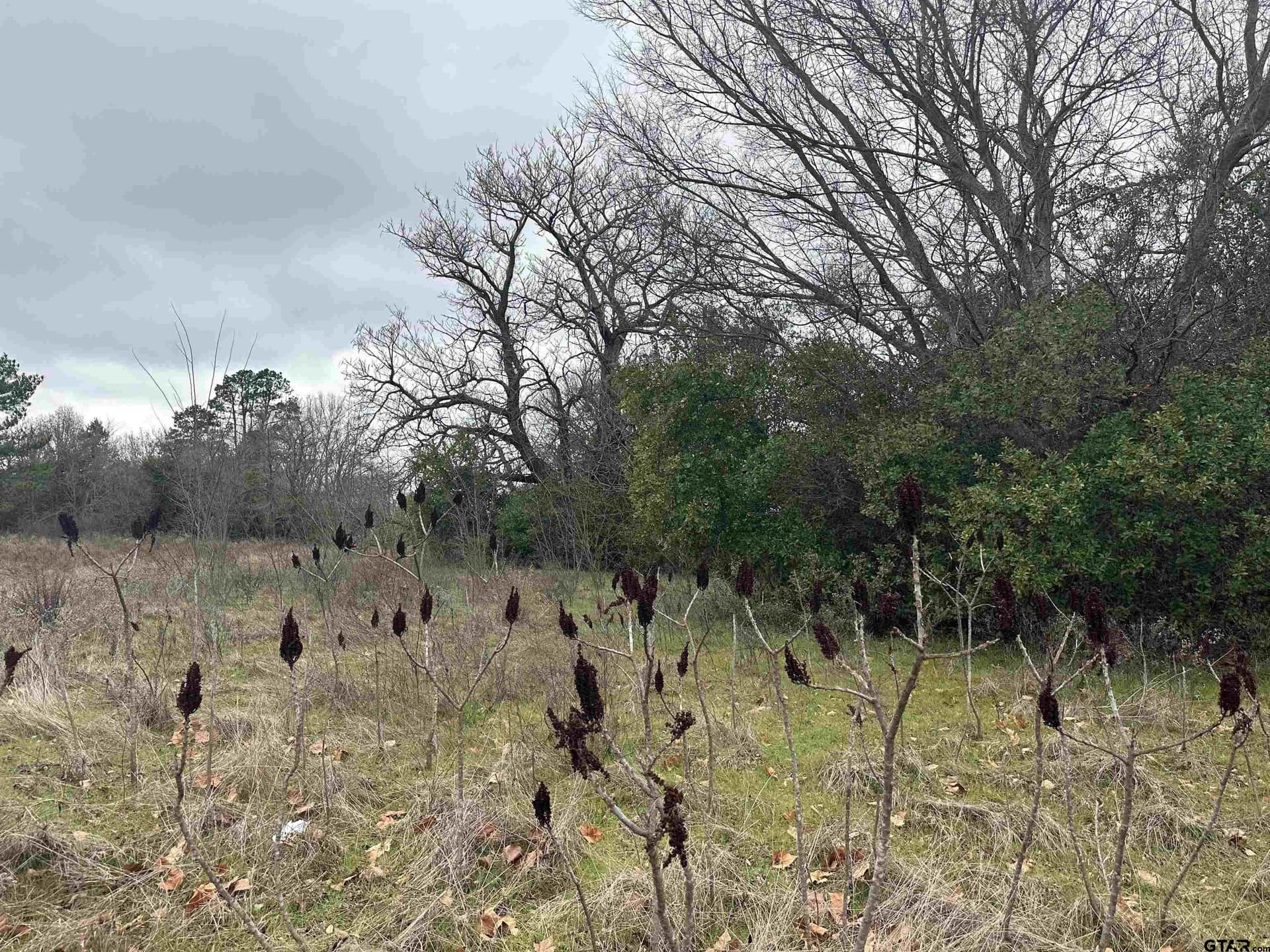 19.95 acres in Smith County - photo 2