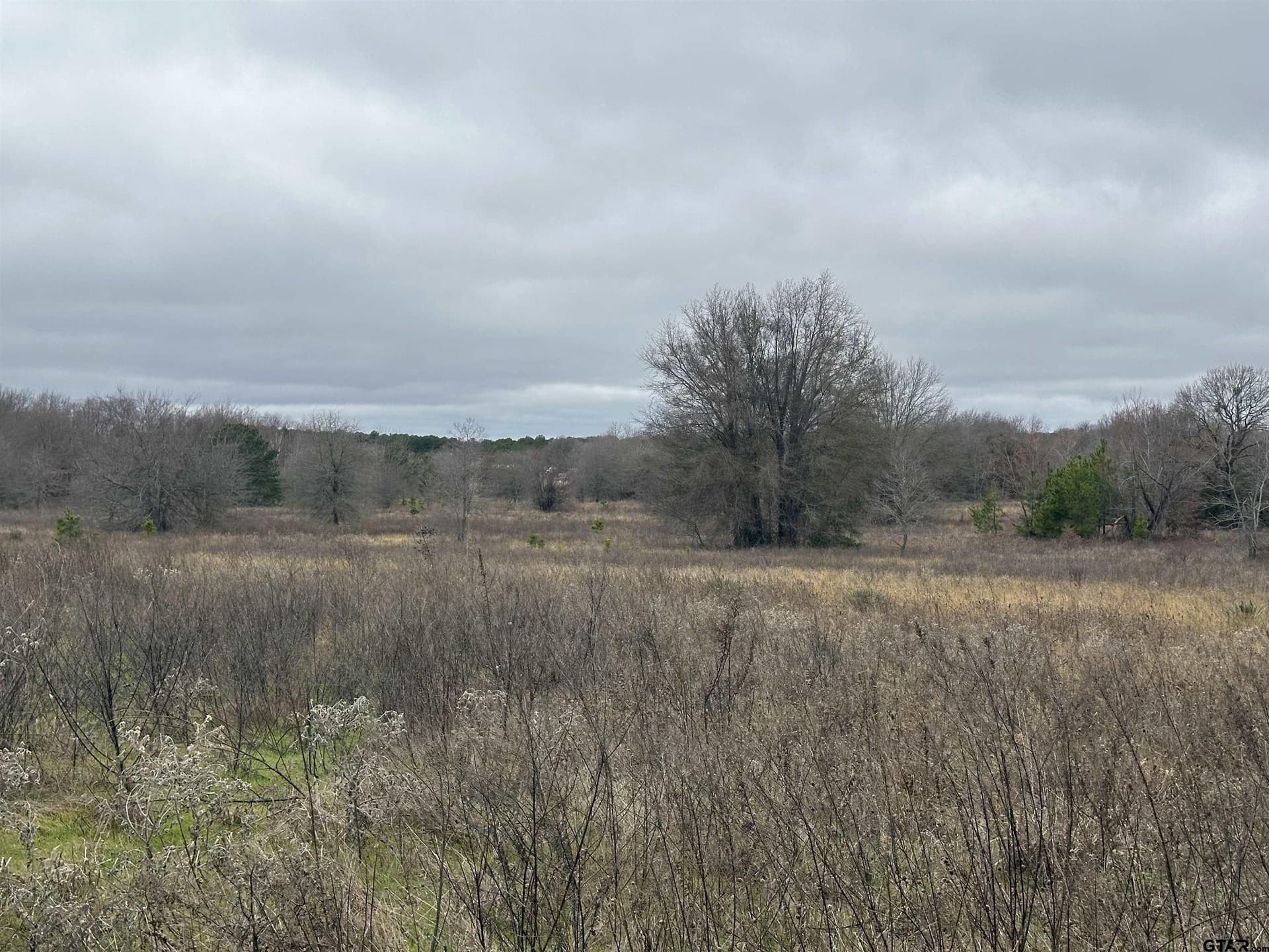 19.95 acres in Smith County - photo 13