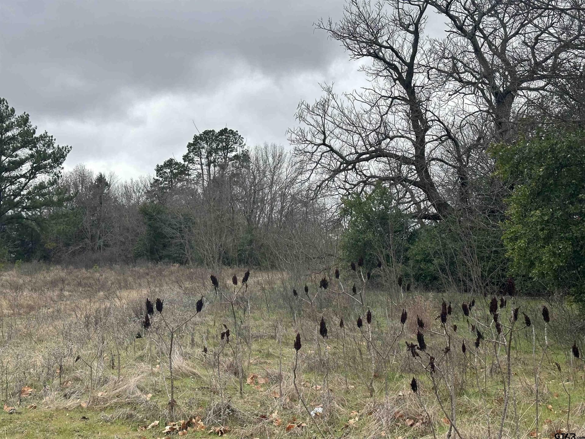 19.95 acres in Smith County - photo 3
